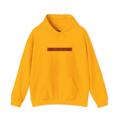 Rust Hoodie.